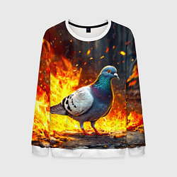 Свитшот мужской Голубь в огне, цвет: 3D-белый