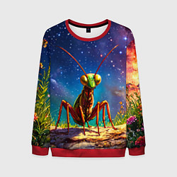 Мужской свитшот Богомол и звездное небо