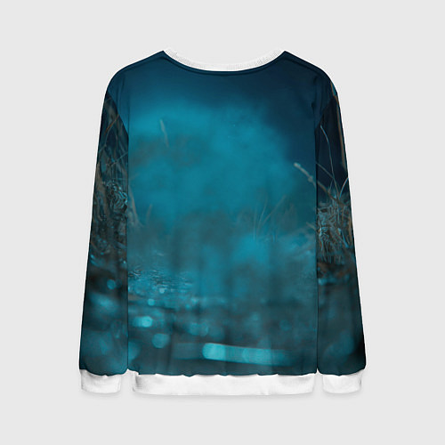 Мужской свитшот Kingdom Come Deliverance 2 котик рыцарь / 3D-Белый – фото 2