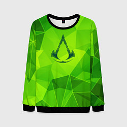 Свитшот мужской Assassins Creed green poly, цвет: 3D-черный