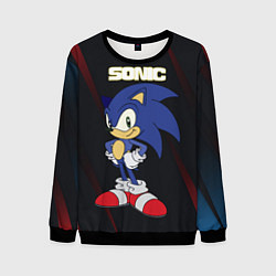 Свитшот мужской Sonic, цвет: 3D-черный