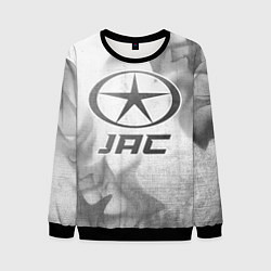 Мужской свитшот JAC - white gradient