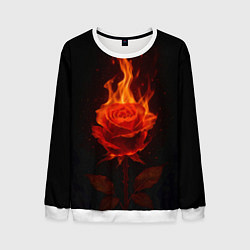 Мужской свитшот Flaming rose