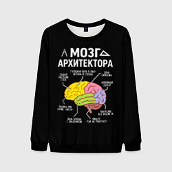 Мужской свитшот Мозг архитектора цветной