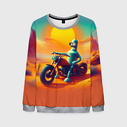 Свитшот мужской Робот Бендер на мотоцикле в пустыне, цвет: 3D-меланж