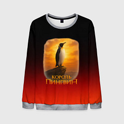 Свитшот мужской Король Пингвин пародия, цвет: 3D-меланж
