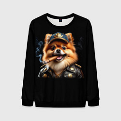 Мужской свитшот Гламурный чау-чау