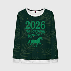 Мужской свитшот Навстречу удаче 2026