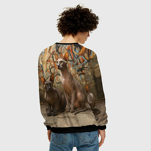 Мужской свитшот Петерболды сидят на фоне стены с граффити / 3D-Черный – фото 4