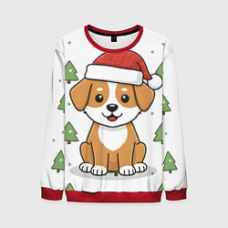 Мужской свитшот Новогодняя собачка в шапочке