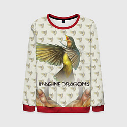 Свитшот мужской Imagine Dragons: Fly, цвет: 3D-красный