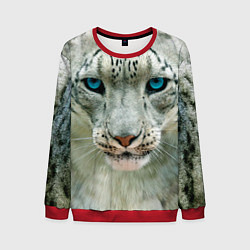 Мужской свитшот Снежный барс