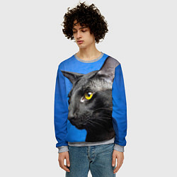 Свитшот мужской Черный кот, цвет: 3D-меланж — фото 2