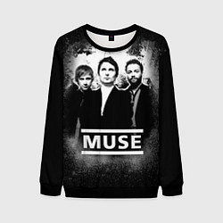 Свитшот мужской Muse, цвет: 3D-черный