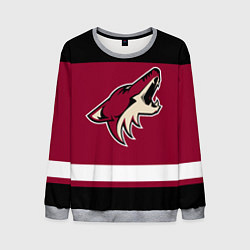 Свитшот мужской Arizona Coyotes, цвет: 3D-меланж