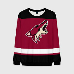 Свитшот мужской Arizona Coyotes, цвет: 3D-черный