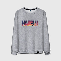 Свитшот хлопковый мужской HAWAII 9, цвет: меланж