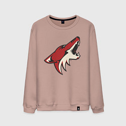 Свитшот хлопковый мужской Phoenix Coyotes, цвет: пыльно-розовый