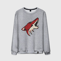 Мужской свитшот Phoenix Coyotes