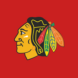Свитшот хлопковый мужской Chicago Blackhawks: Kane, цвет: красный — фото 2
