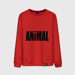 Свитшот хлопковый мужской Animal, цвет: красный