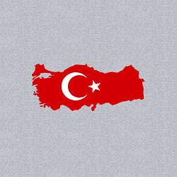 Свитшот хлопковый мужской Турция (Turkey), цвет: меланж — фото 2
