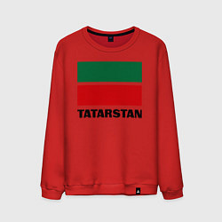 Свитшот хлопковый мужской Флаг Татарстана, цвет: красный