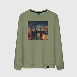 Свитшот хлопковый мужской Pink Floyd: Animals, цвет: авокадо