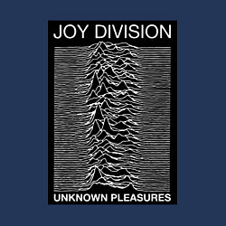 Свитшот хлопковый мужской Joy Division: Unknown Pleasures, цвет: тёмно-синий — фото 2