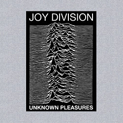 Свитшот хлопковый мужской Joy Division: Unknown Pleasures, цвет: меланж — фото 2