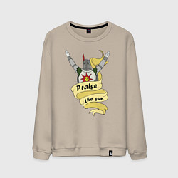 Мужской свитшот Praise the Sun