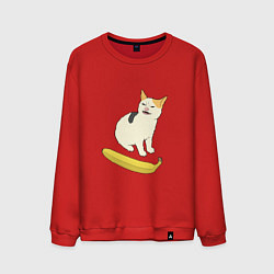 Свитшот хлопковый мужской Cat no banana meme, цвет: красный