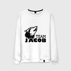 Мужской свитшот Jacob team logo
