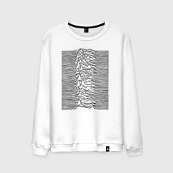 Мужской свитшот Unknown Pleasures