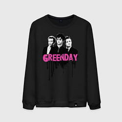 Свитшот хлопковый мужской The Green Day, цвет: черный