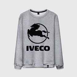 Свитшот хлопковый мужской Iveco, цвет: меланж