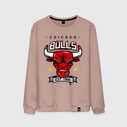 Мужской свитшот Chicago Bulls est. 1966