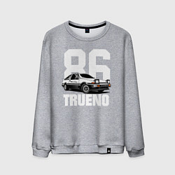 Мужской свитшот TRUENO 86