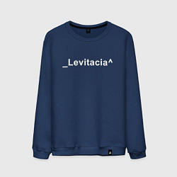 Мужской свитшот Levitacia