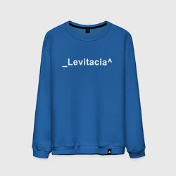 Свитшот хлопковый мужской Levitacia, цвет: синий