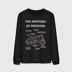 Мужской свитшот The Anatomy of Freedom