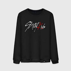 Мужской свитшот STRAY KIDS FELIX