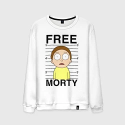 Мужской свитшот Free Morty