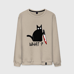 Свитшот хлопковый мужской What cat, цвет: миндальный
