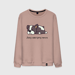 Свитшот хлопковый мужской Навстречу мечте, цвет: пыльно-розовый