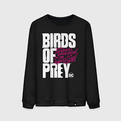 Мужской свитшот Birds of Prey logo