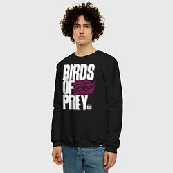 Свитшот хлопковый мужской Birds of Prey logo, цвет: черный — фото 2