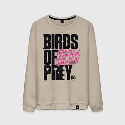 Мужской свитшот Birds of Prey logo