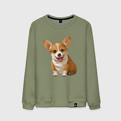 Свитшот хлопковый мужской Корги, цвет: авокадо