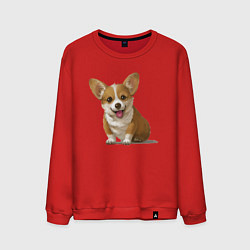 Свитшот хлопковый мужской КОРГИ, цвет: красный
